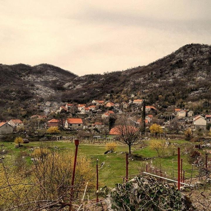 House On The Hill Villa Cetinje Eksteriør billede