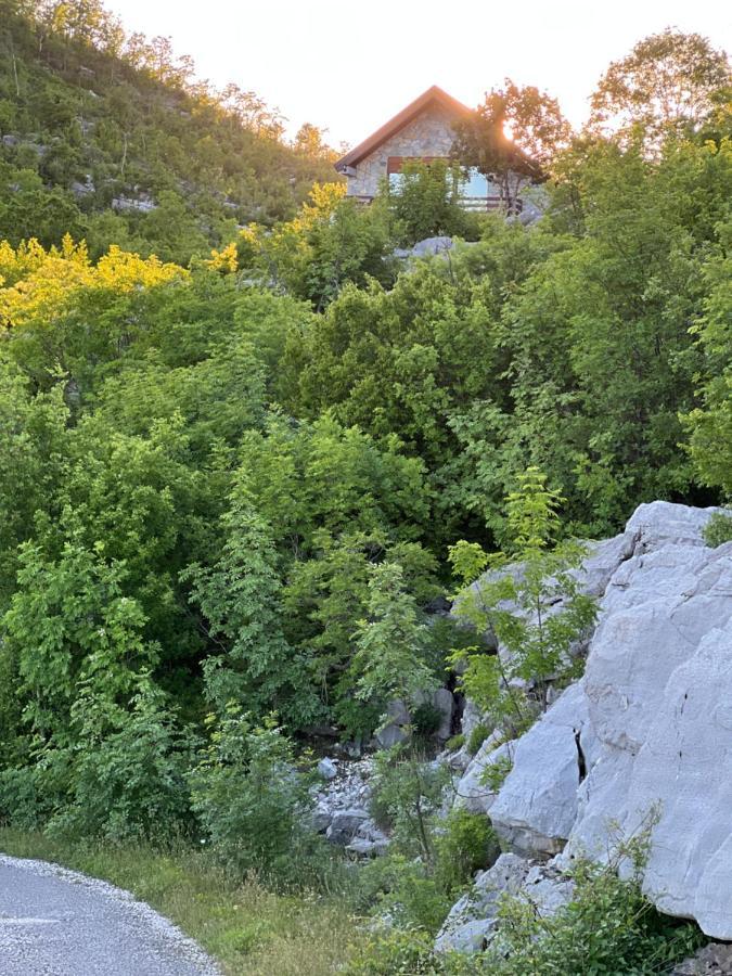House On The Hill Villa Cetinje Eksteriør billede